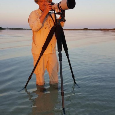 Harry Selsor